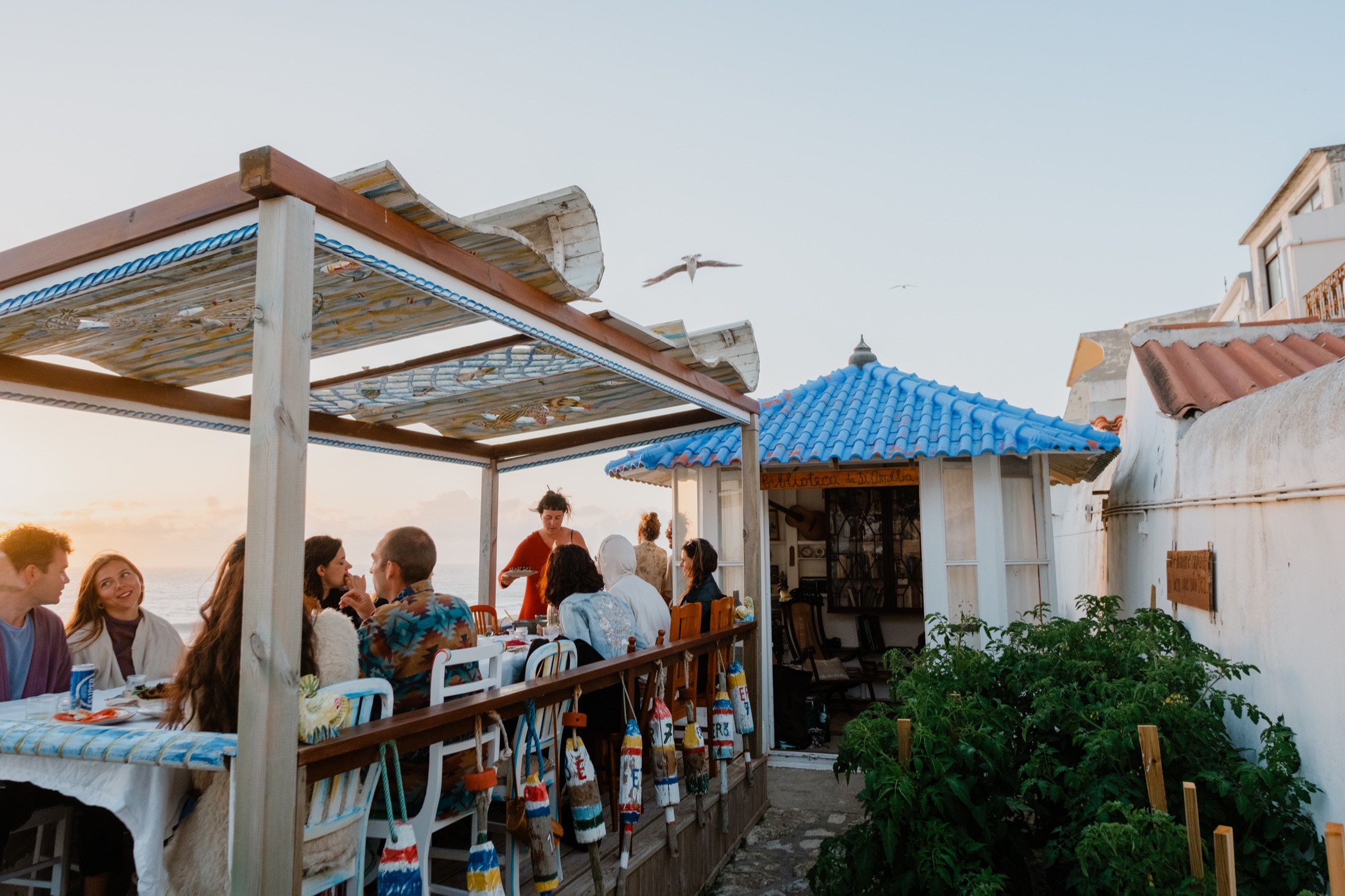 Guests gathered by the sea at sunset