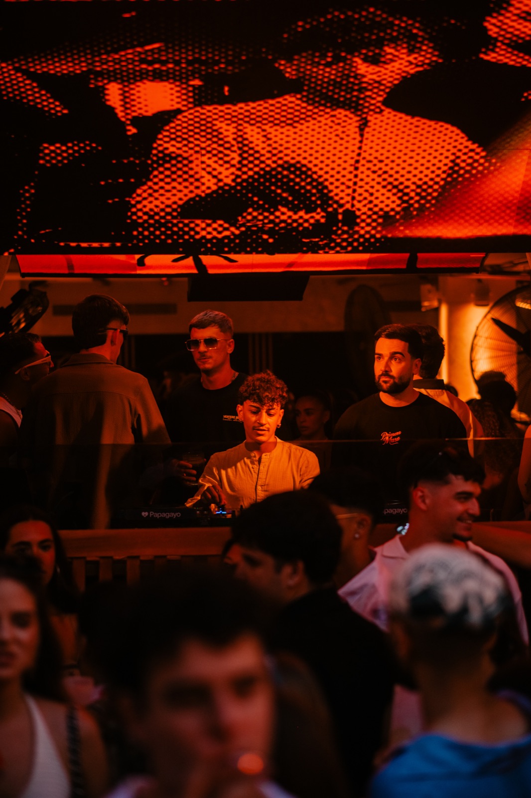 Papagayo under orange light