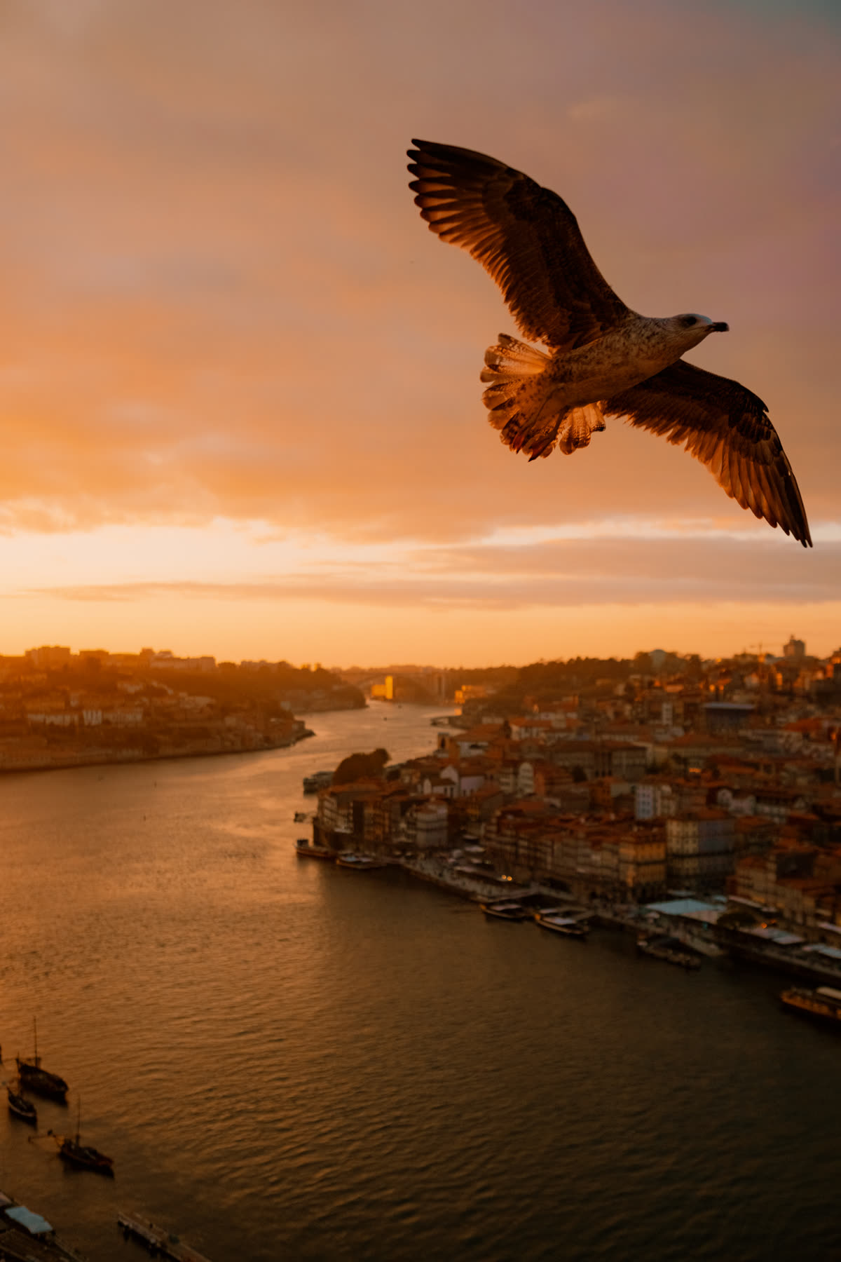 Landscape photograph by Suso Garcia