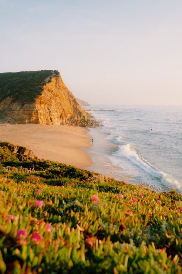 Rocky coastline in warm light