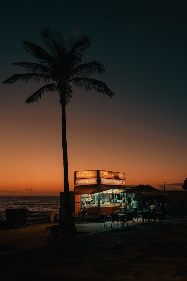 Palm tree and coastal kiosk at sunset