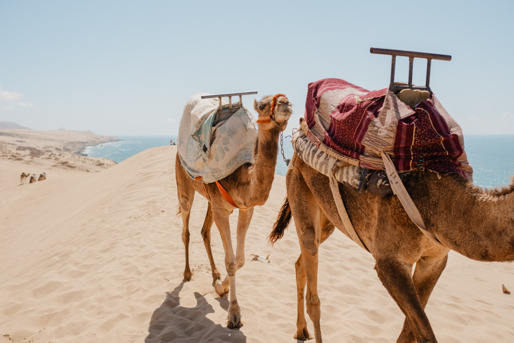 Travels and brands photograph by Suso Garcia